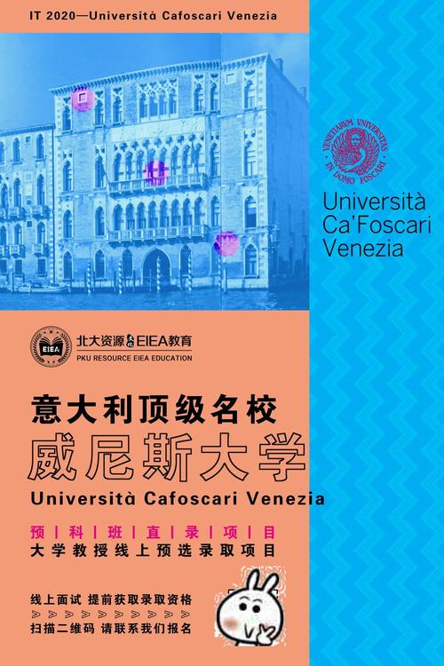 威尼斯大学大学（威尼斯大学英文）